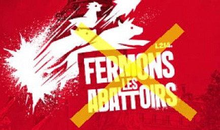 L214 : Un mouvement animaliste au service de la FoodTech américaine