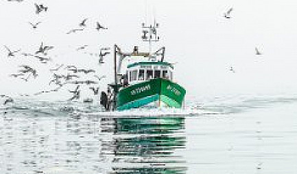 LA PECHE ARTISANALE FRANCAISE A MAREE BASSE
